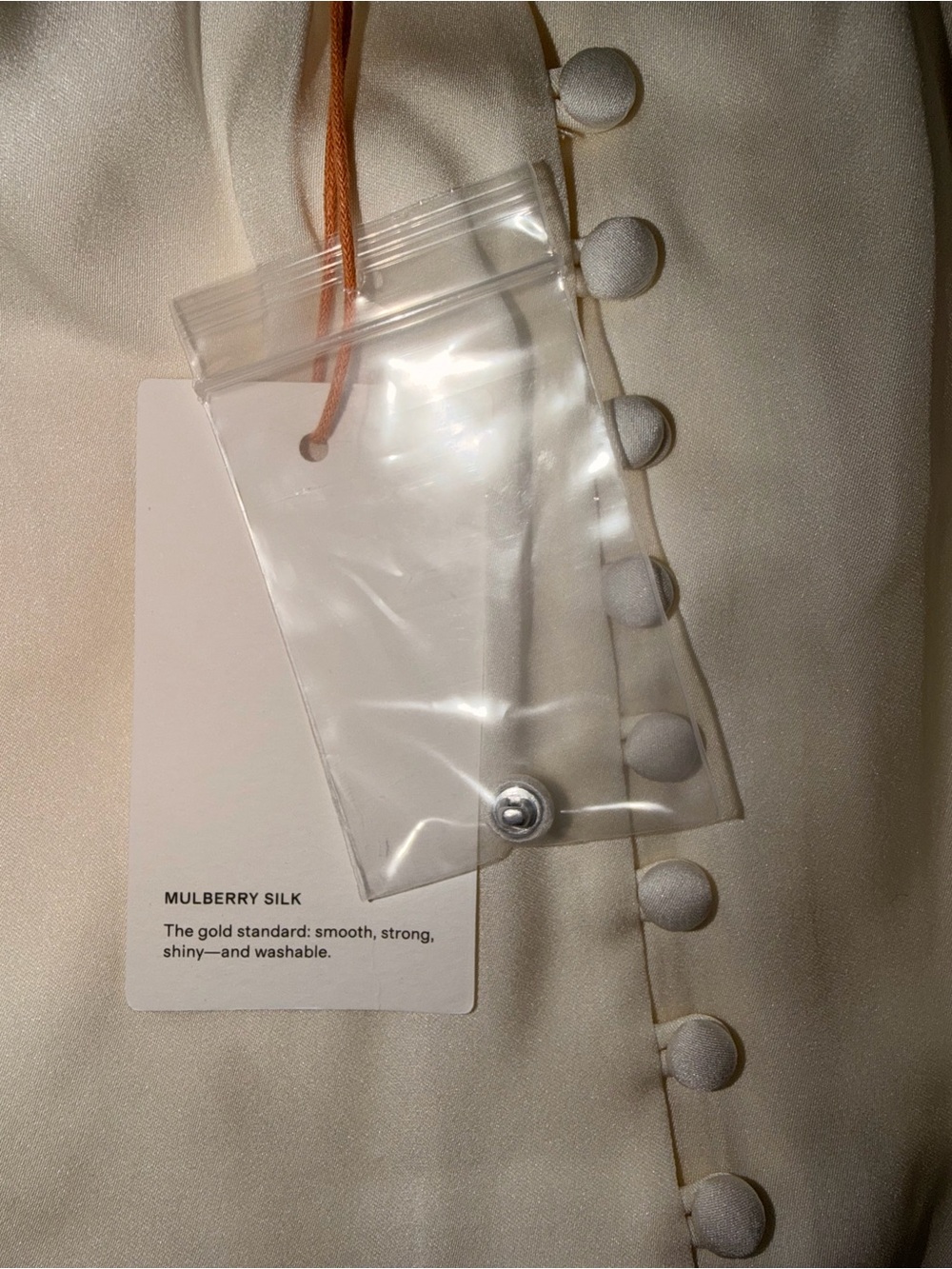 Quince Cream Silk Button-Down Blouse - Picture 8 of 8